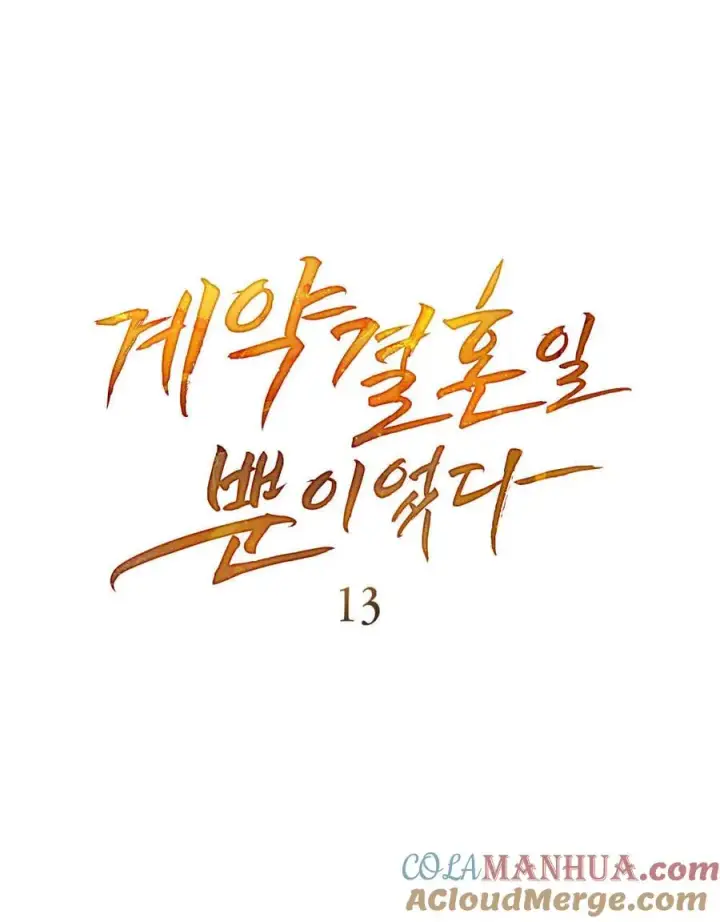 《只是契约婚姻而已》第13话图28