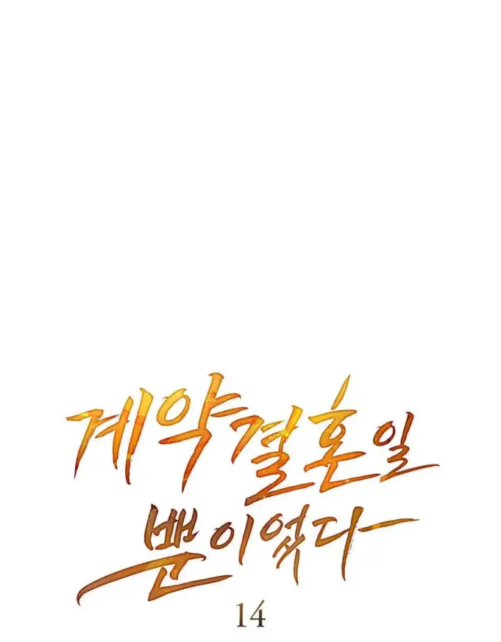《只是契约婚姻而已》第14话图21