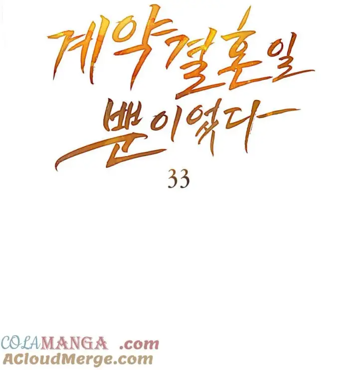 《只是契约婚姻而已》第33话图13