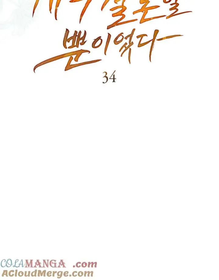 《只是契约婚姻而已》第34话图33