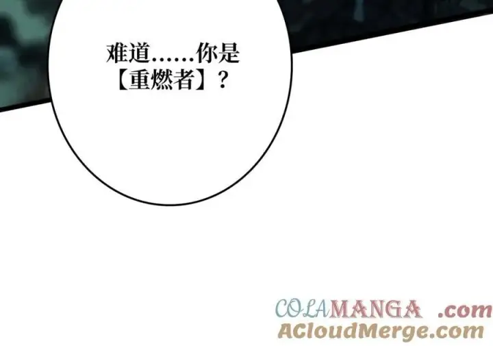 《重燃吧，T0玩家！》第1话 顶级玩家重生游戏世界图137