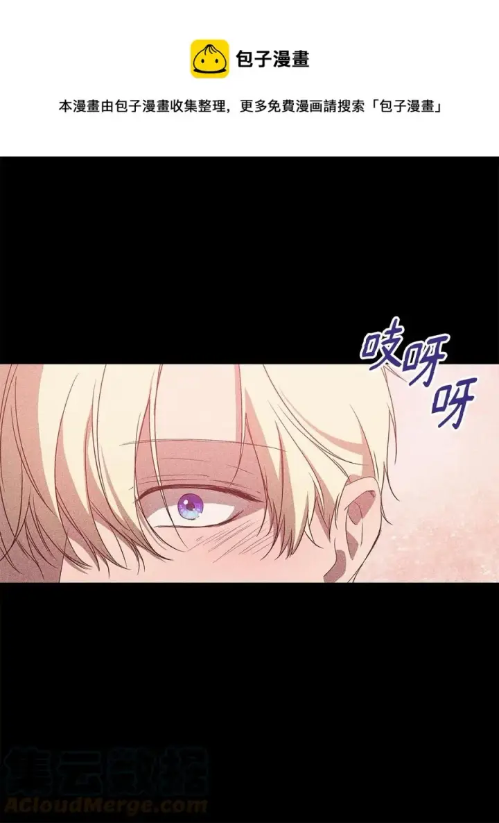 《重生，逆转悲惨命运的莉莉安》24 秘密联姻图25
