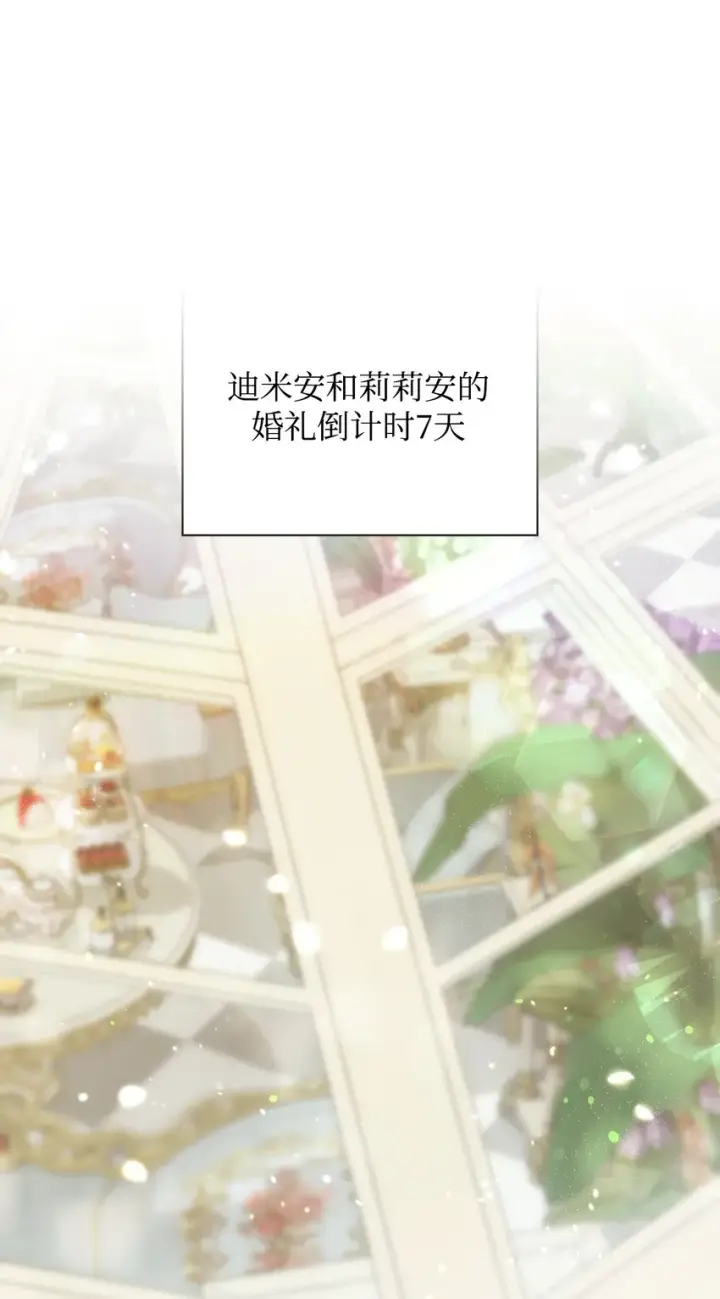 《重生，逆转悲惨命运的莉莉安》33 婚前协议图2