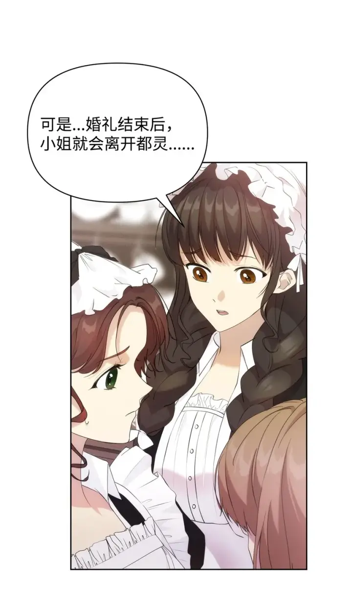 《重生，逆转悲惨命运的莉莉安》34 婚礼准备图13