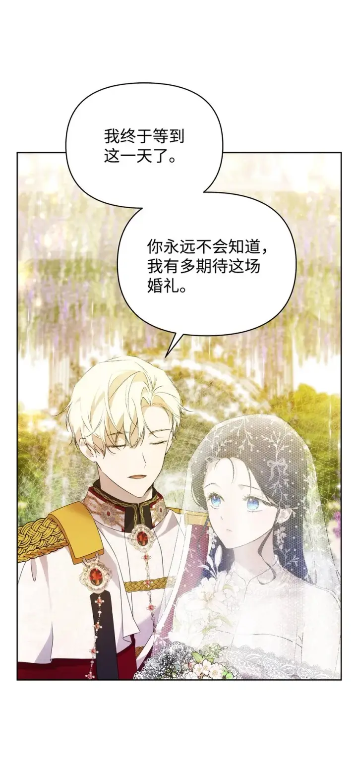 《重生，逆转悲惨命运的莉莉安》36 婚礼仪式图53
