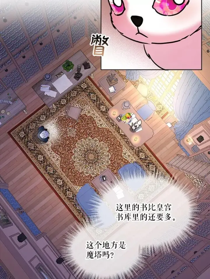 《重生为神兽宝宝》4.绑架图41