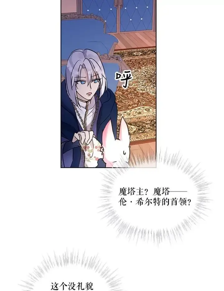 《重生为神兽宝宝》4.绑架图51