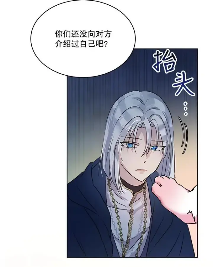《重生为神兽宝宝》6.佩伊兰图12