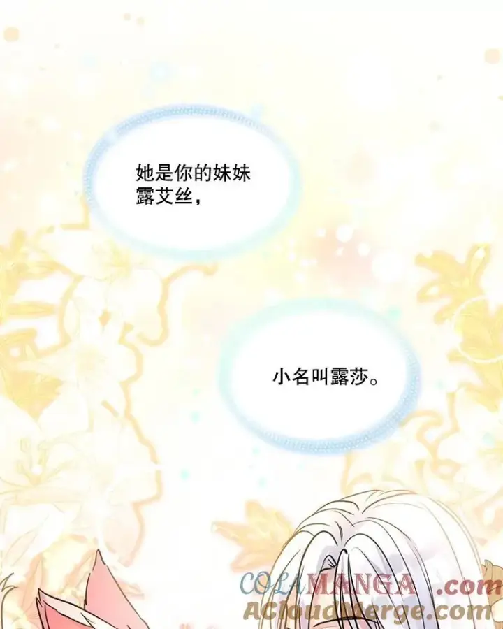 《重生为神兽宝宝》6.佩伊兰图13
