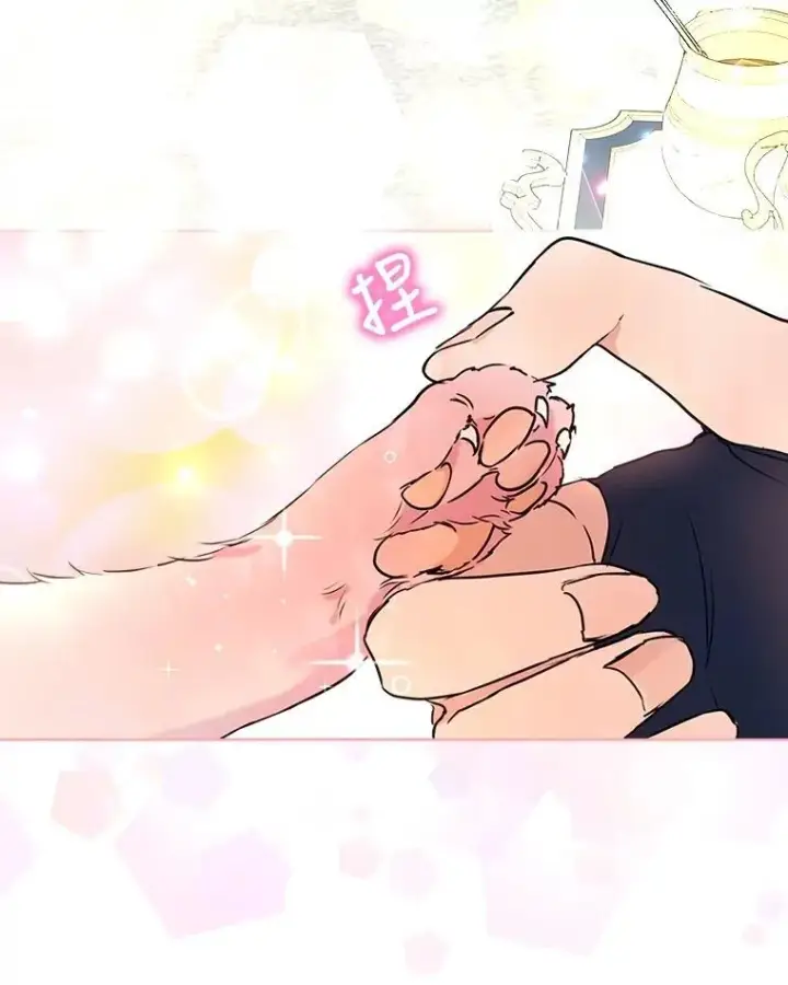 《重生为神兽宝宝》6.佩伊兰图15