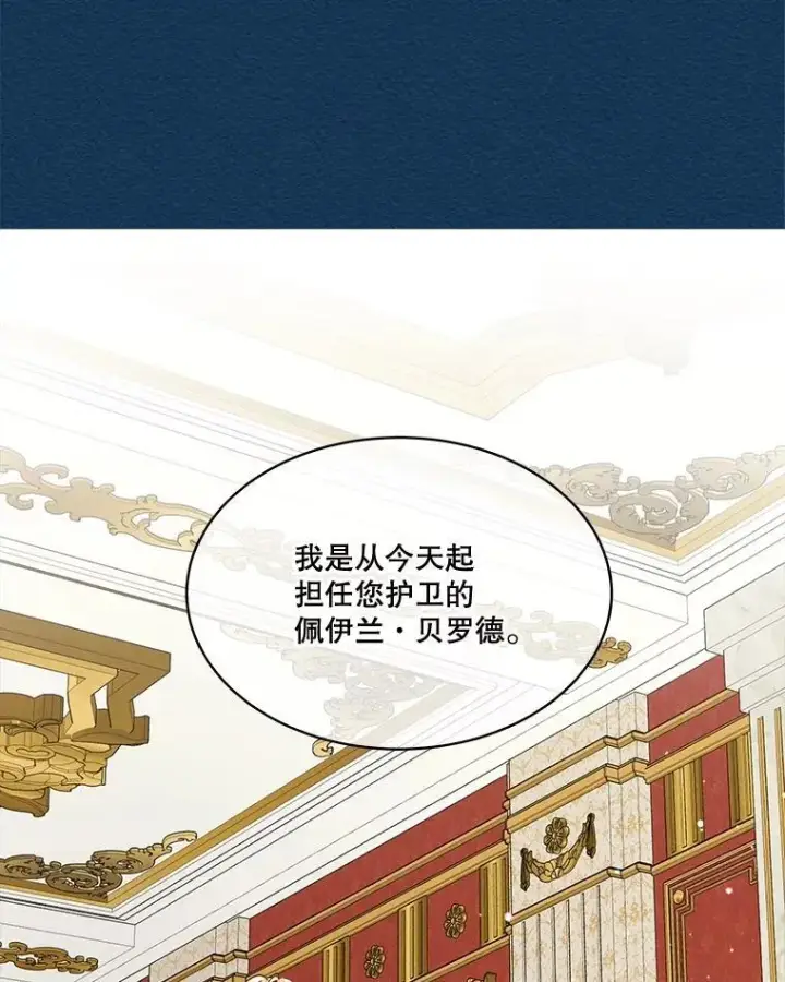 《重生为神兽宝宝》6.佩伊兰图41