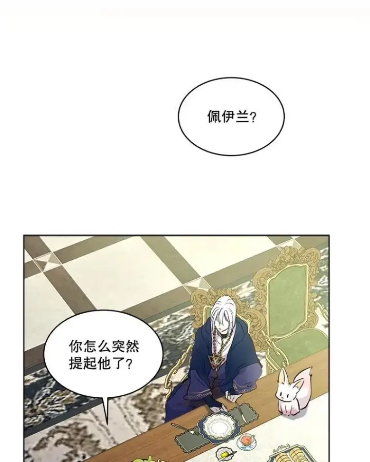 《重生为神兽宝宝》6.佩伊兰图84