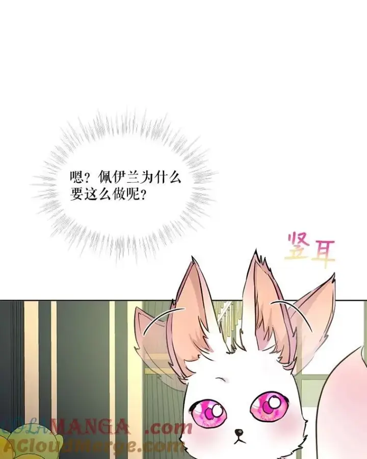 《重生为神兽宝宝》6.佩伊兰图88