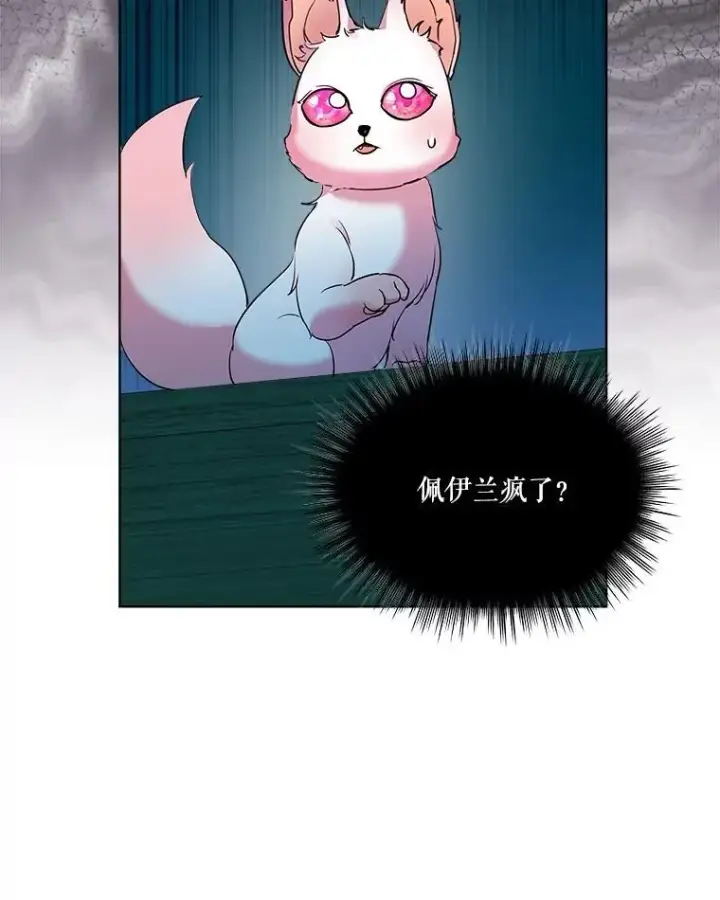 《重生为神兽宝宝》6.佩伊兰图97