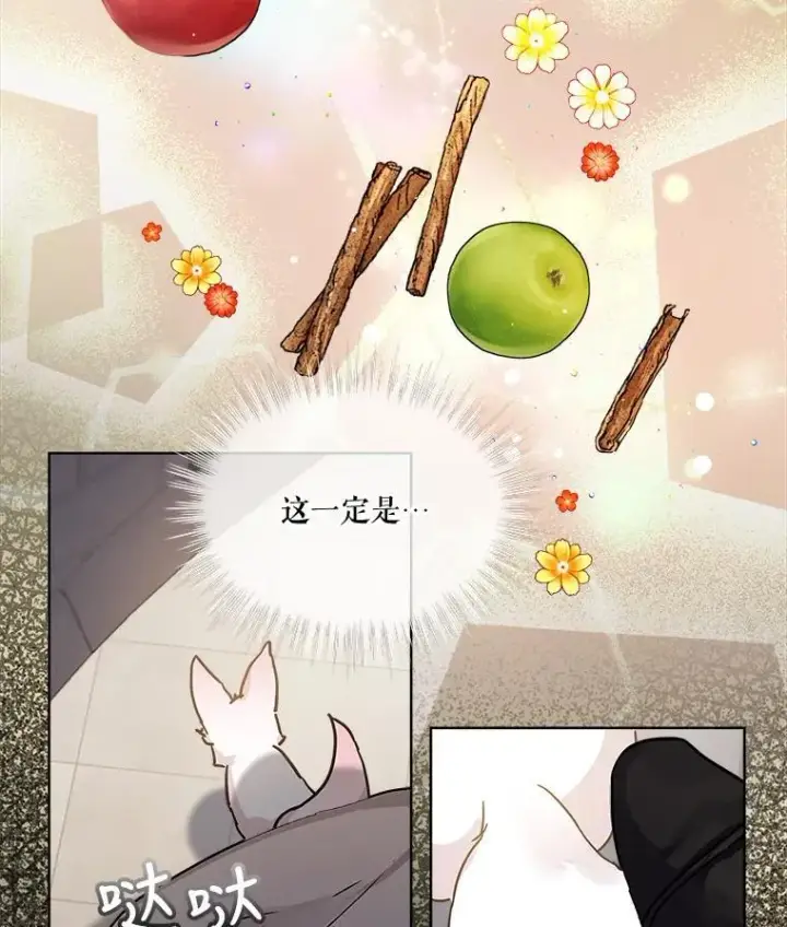 《重生为神兽宝宝》8.人形化图18