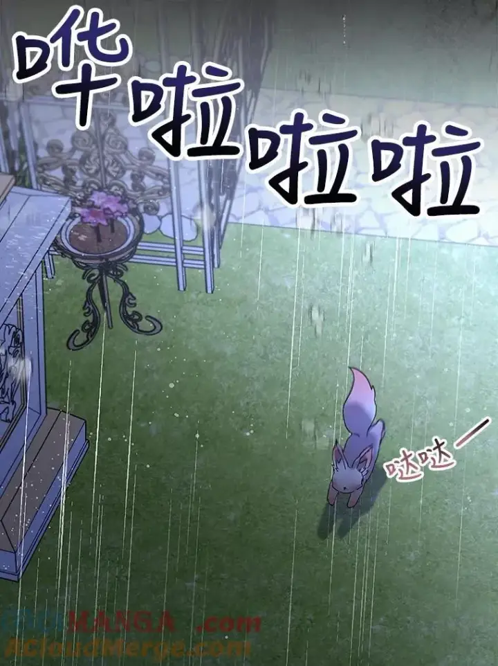《重生为神兽宝宝》10.相救图19