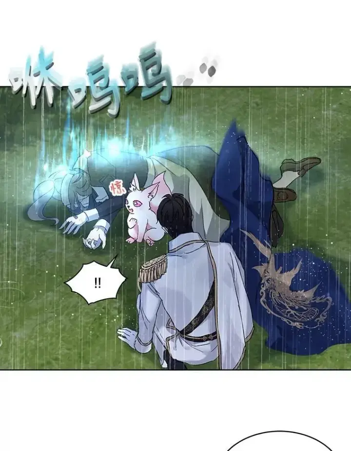 《重生为神兽宝宝》10.相救图39