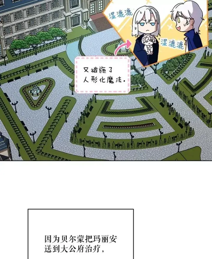 《重生为神兽宝宝》10.相救图78