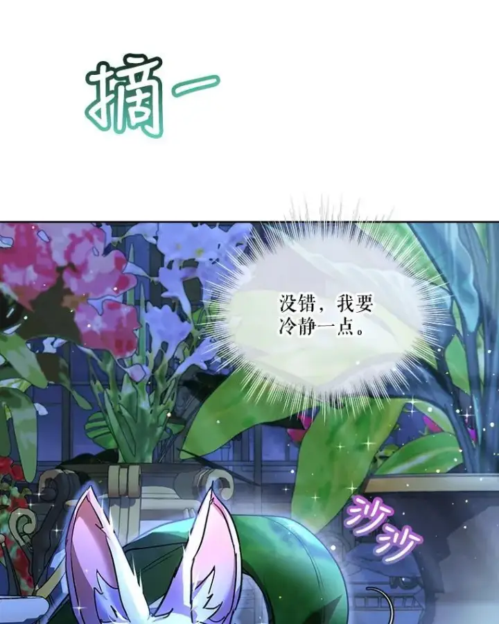 《重生为神兽宝宝》21.意外相遇图16