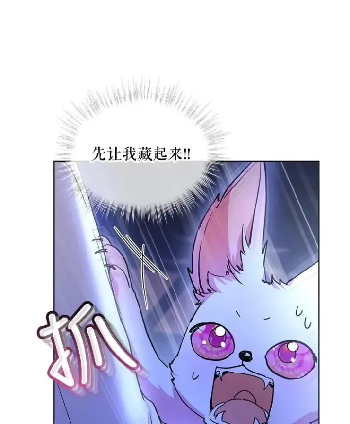 《重生为神兽宝宝》21.意外相遇图67