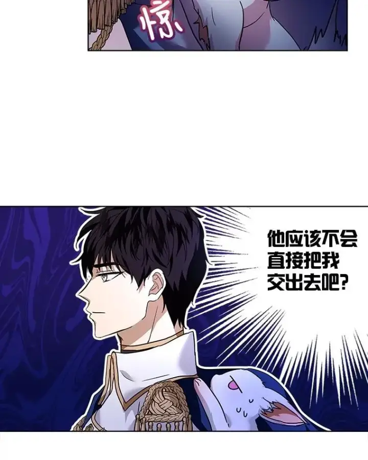 《重生为神兽宝宝》21.意外相遇图75