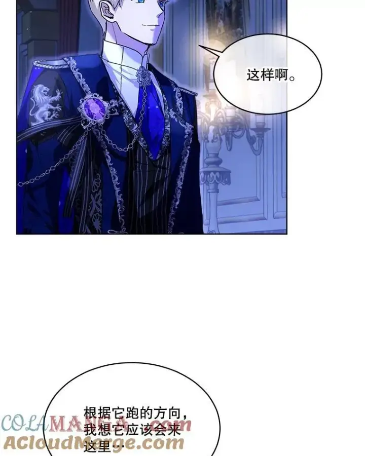 《重生为神兽宝宝》21.意外相遇图77
