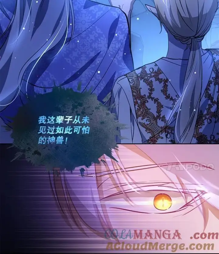 《重生为神兽宝宝》26.教皇图4