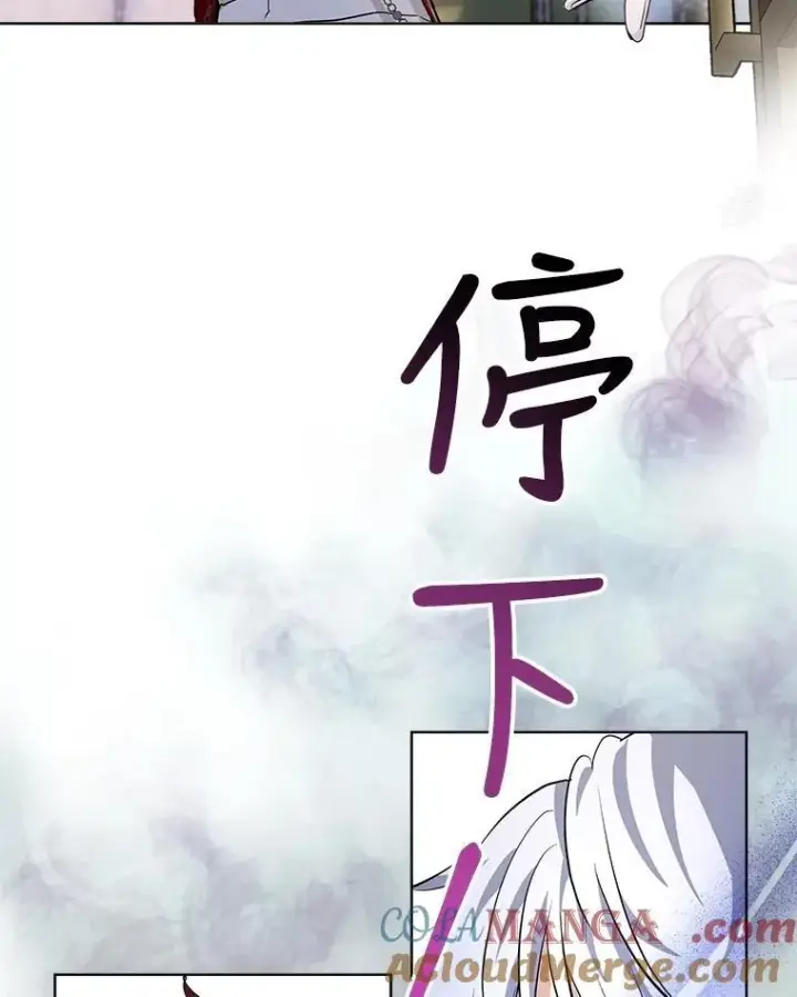 《重生为神兽宝宝》26.教皇图43