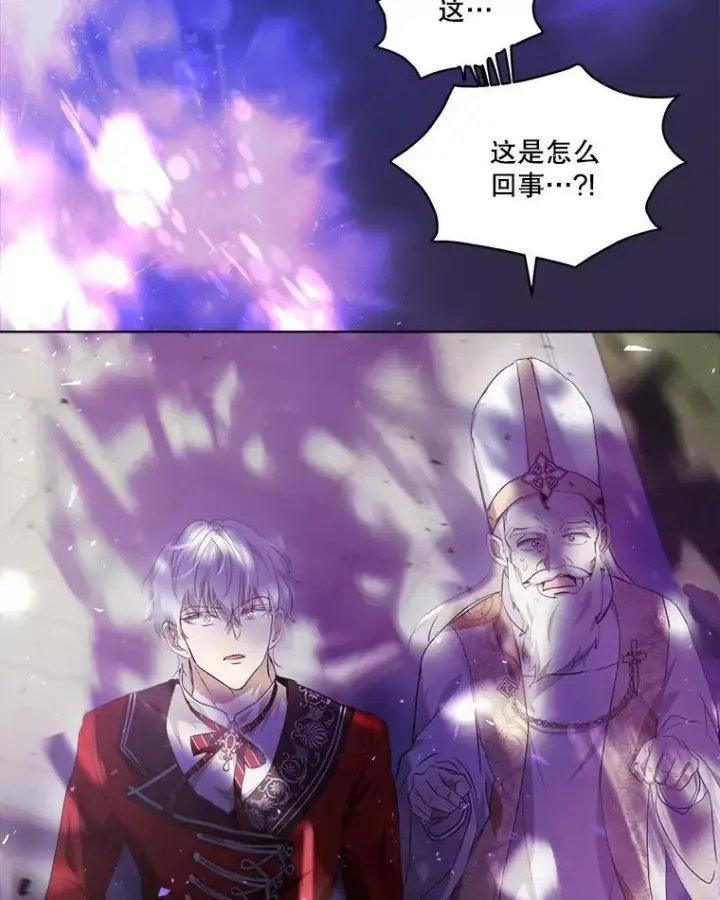 《重生为神兽宝宝》26.教皇图92