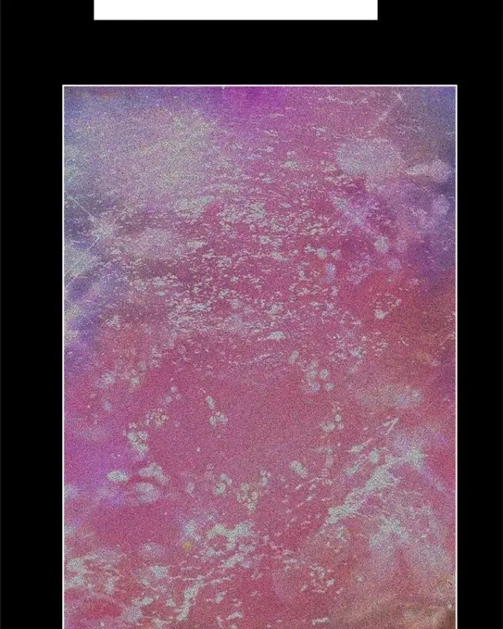 《重生为神兽宝宝》32.营救图79