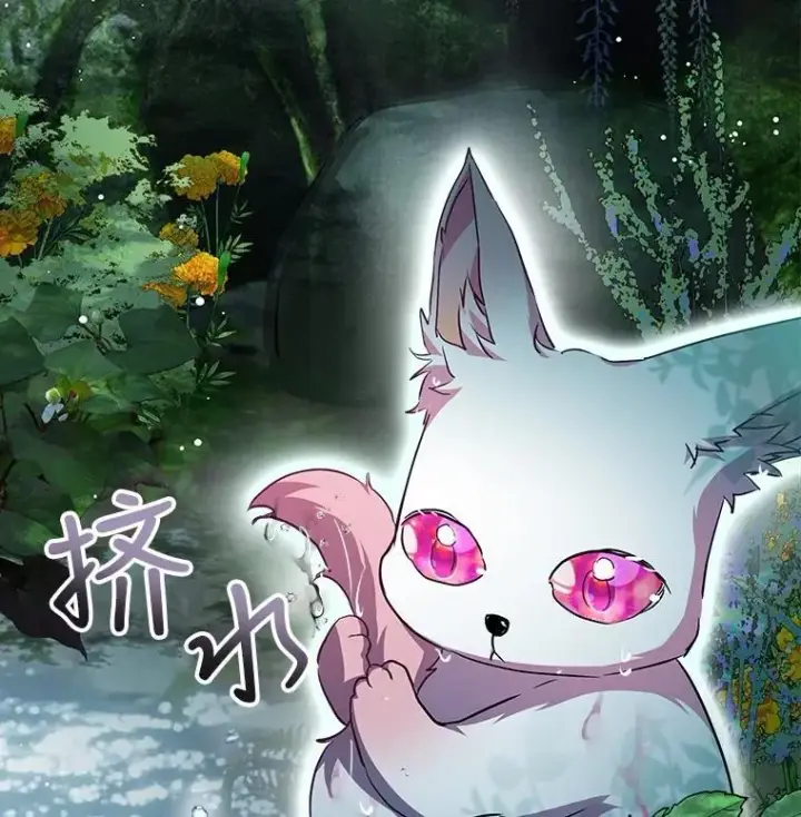 《重生为神兽宝宝》33.巴希拉图11