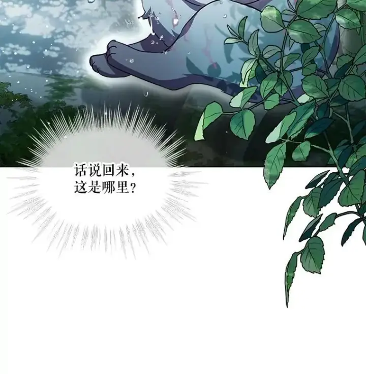 《重生为神兽宝宝》33.巴希拉图12