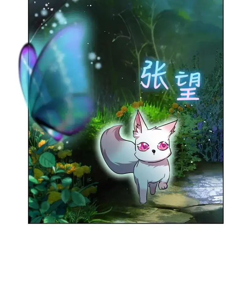 《重生为神兽宝宝》33.巴希拉图15