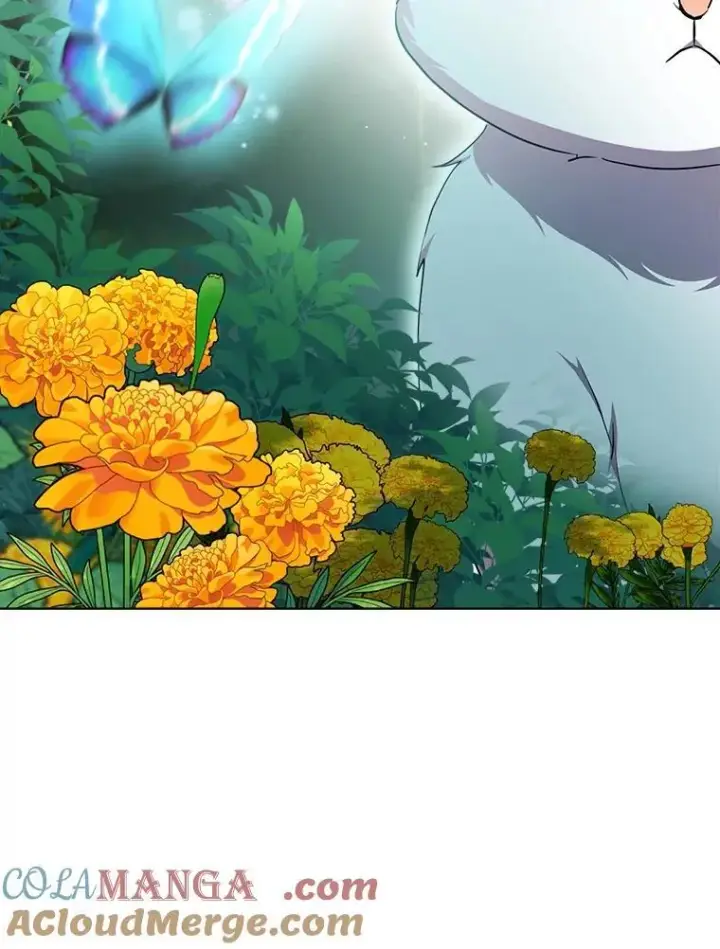 《重生为神兽宝宝》33.巴希拉图17