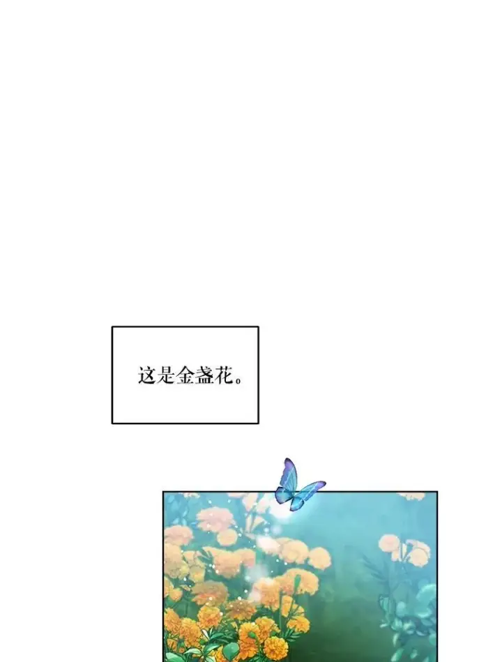 《重生为神兽宝宝》33.巴希拉图18