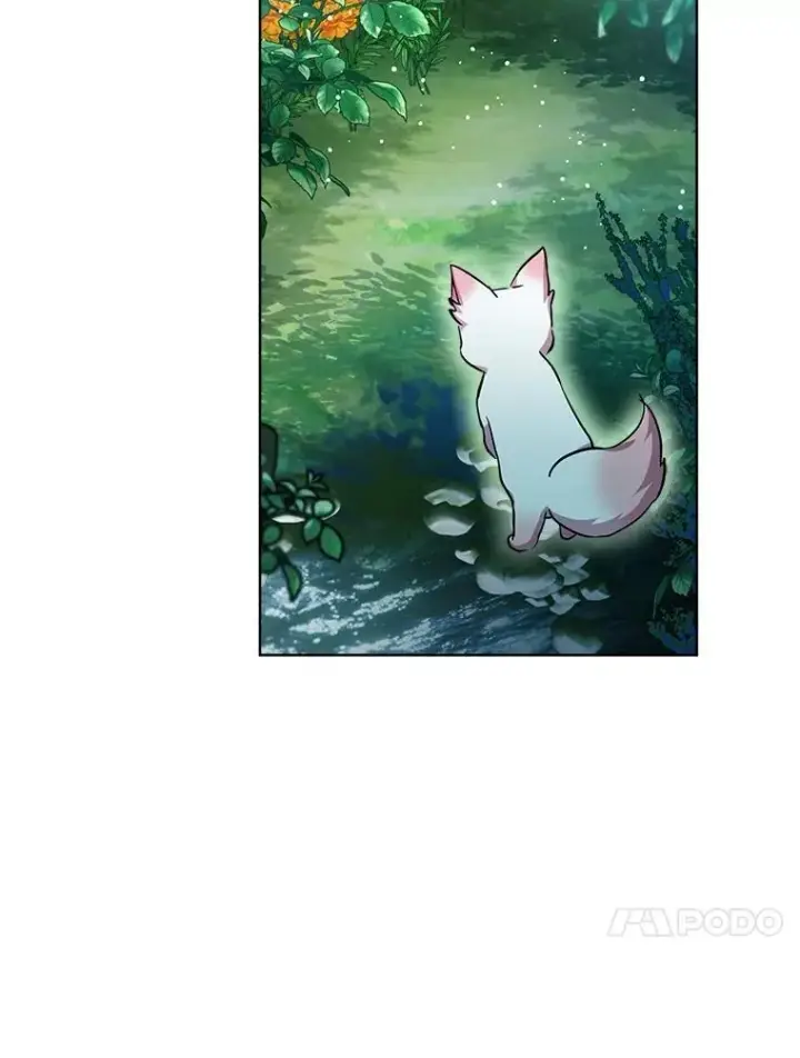 《重生为神兽宝宝》33.巴希拉图19