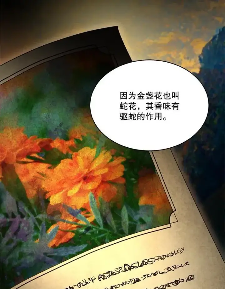《重生为神兽宝宝》33.巴希拉图28