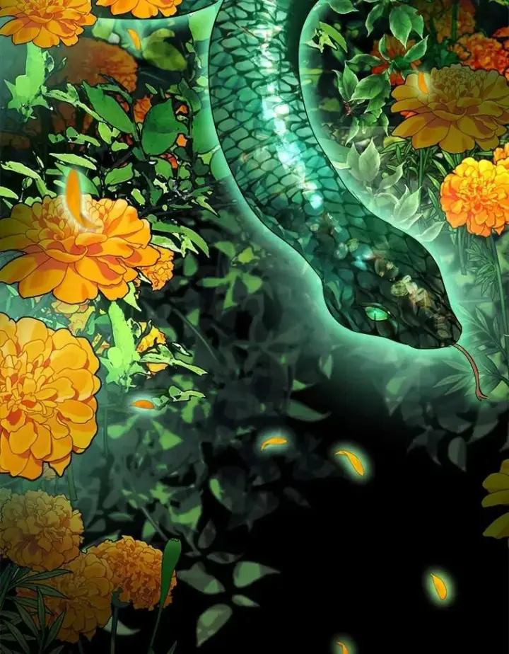 《重生为神兽宝宝》33.巴希拉图31