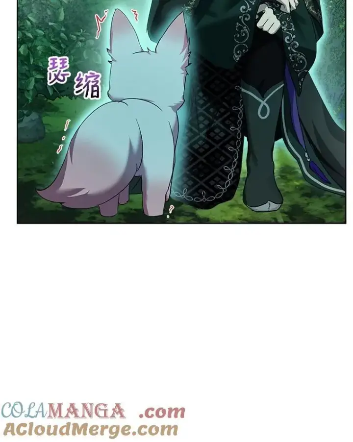 《重生为神兽宝宝》33.巴希拉图41
