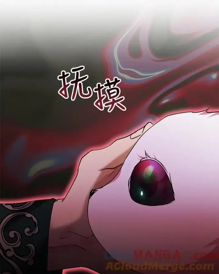 《重生为神兽宝宝》33.巴希拉图45