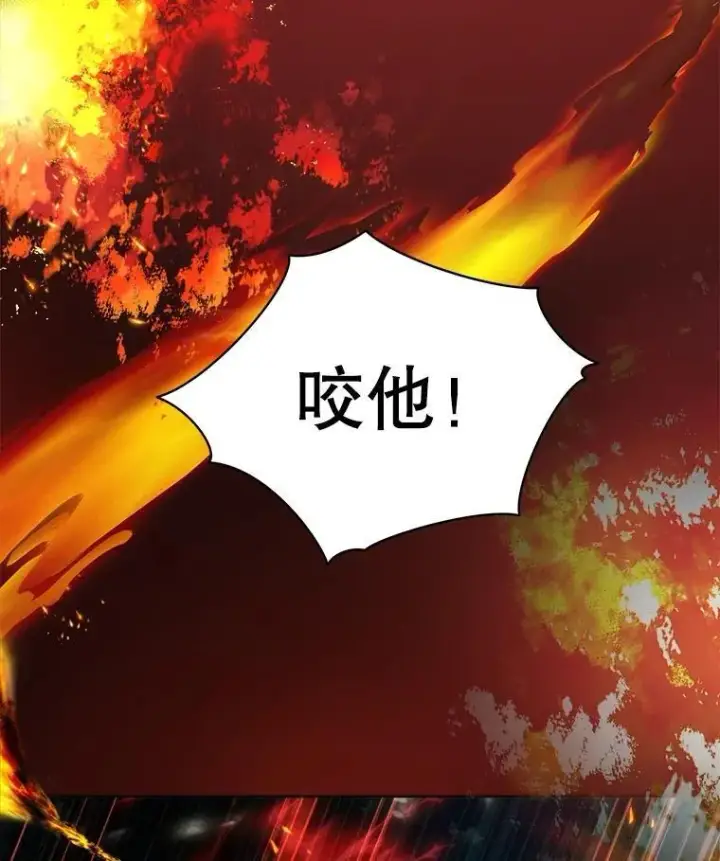 《重生为神兽宝宝》33.巴希拉图58
