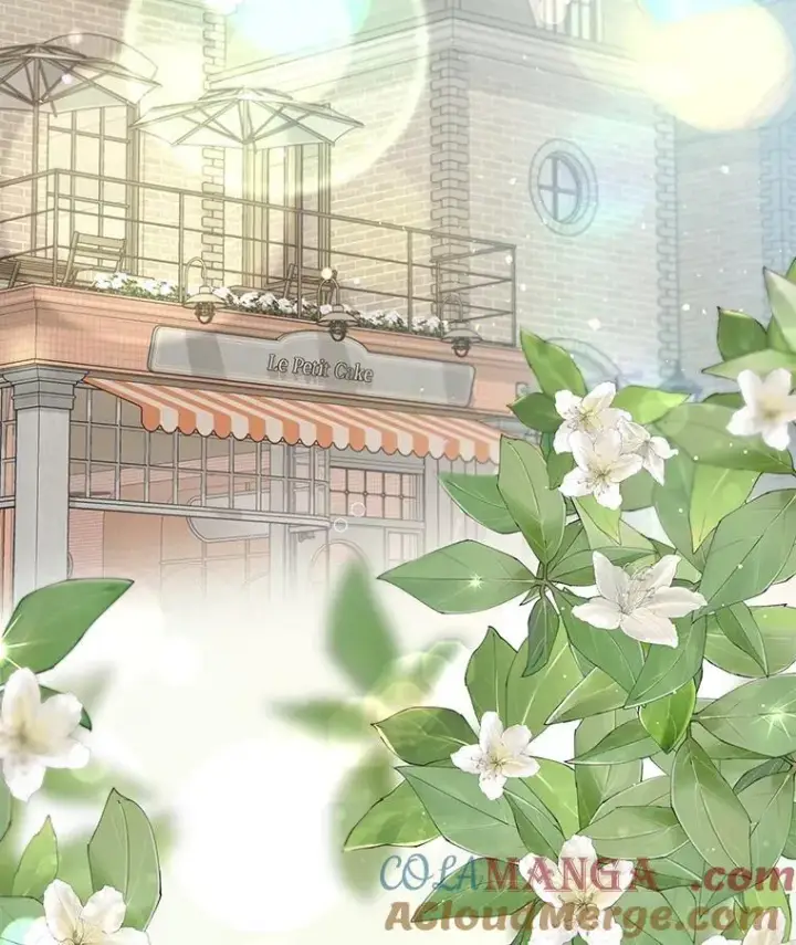 《重生为神兽宝宝》35.生日前夕图53