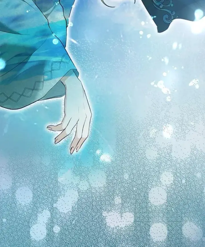 《重生为神兽宝宝》41.贝尔蒙失踪图107