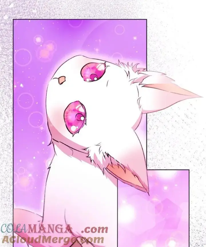 《重生为神兽宝宝》41.贝尔蒙失踪图65