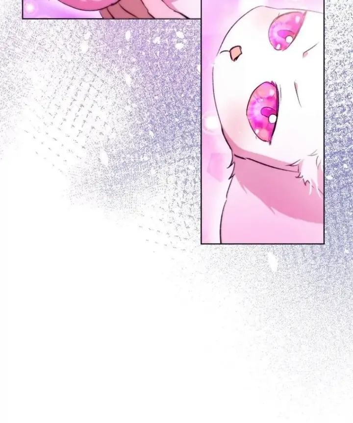 《重生为神兽宝宝》41.贝尔蒙失踪图66