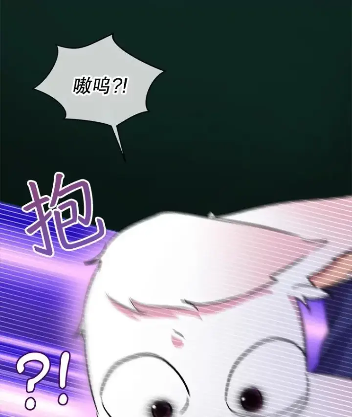 《重生为神兽宝宝》42.意外的相遇图47