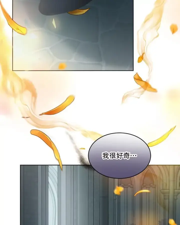 《重生为神兽宝宝》42.意外的相遇图74