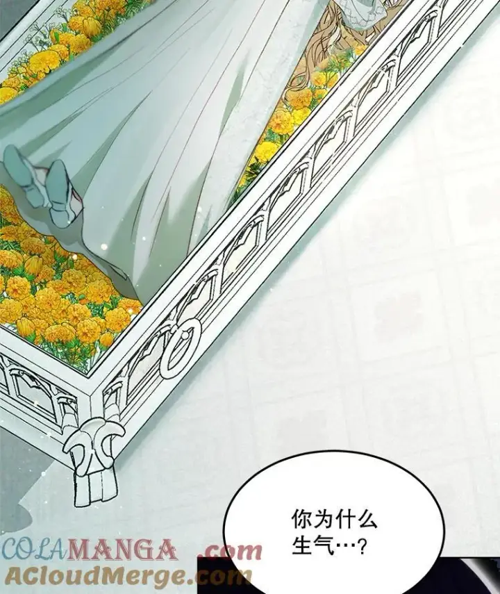 《重生为神兽宝宝》42.意外的相遇图81