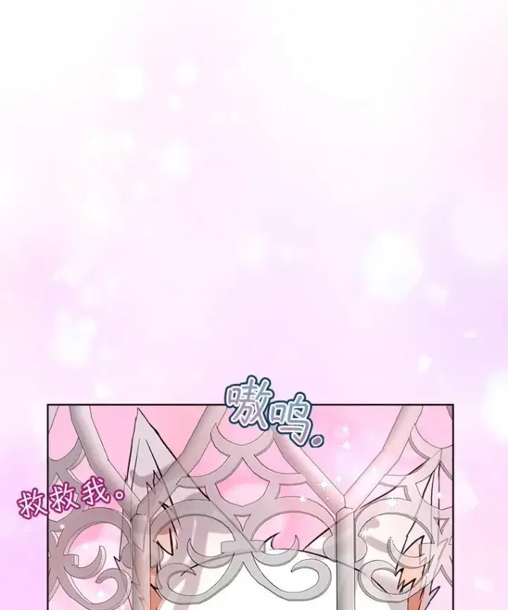 《重生为神兽宝宝》54.得到银狐图26