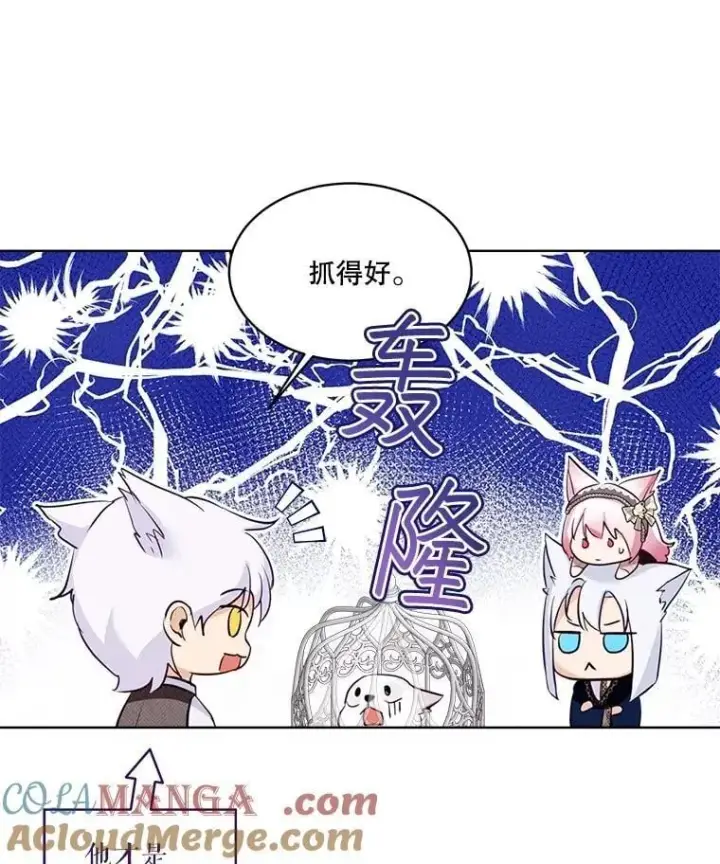 《重生为神兽宝宝》54.得到银狐图29